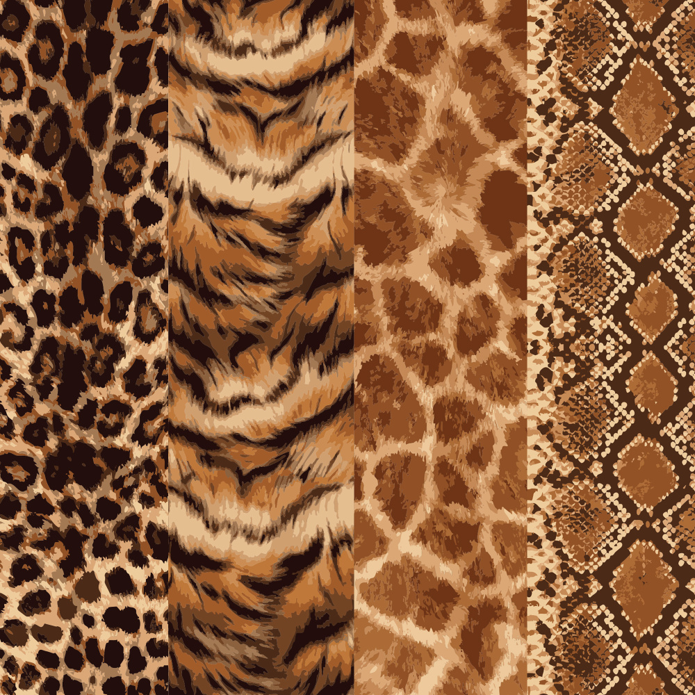 Les motifs du présentoir de 24 pièces de notre collection Savane.