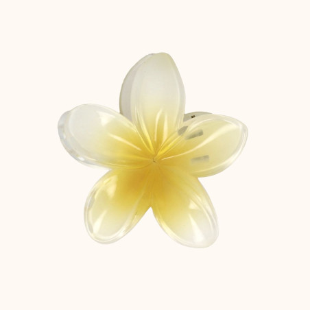 Pince fleur plumeria blanc BA