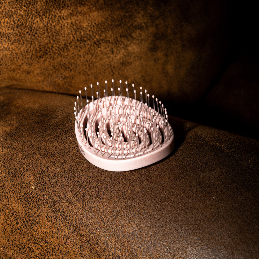 La brosse voyage sur du cuir