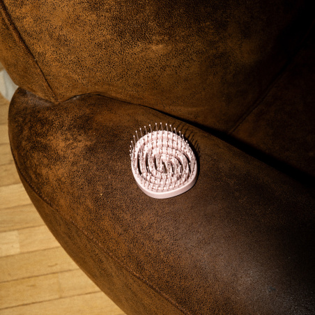 La brosse voyage sur l'accoudoir d'un fauteuil.