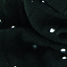 Strass noir