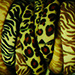 Animaux